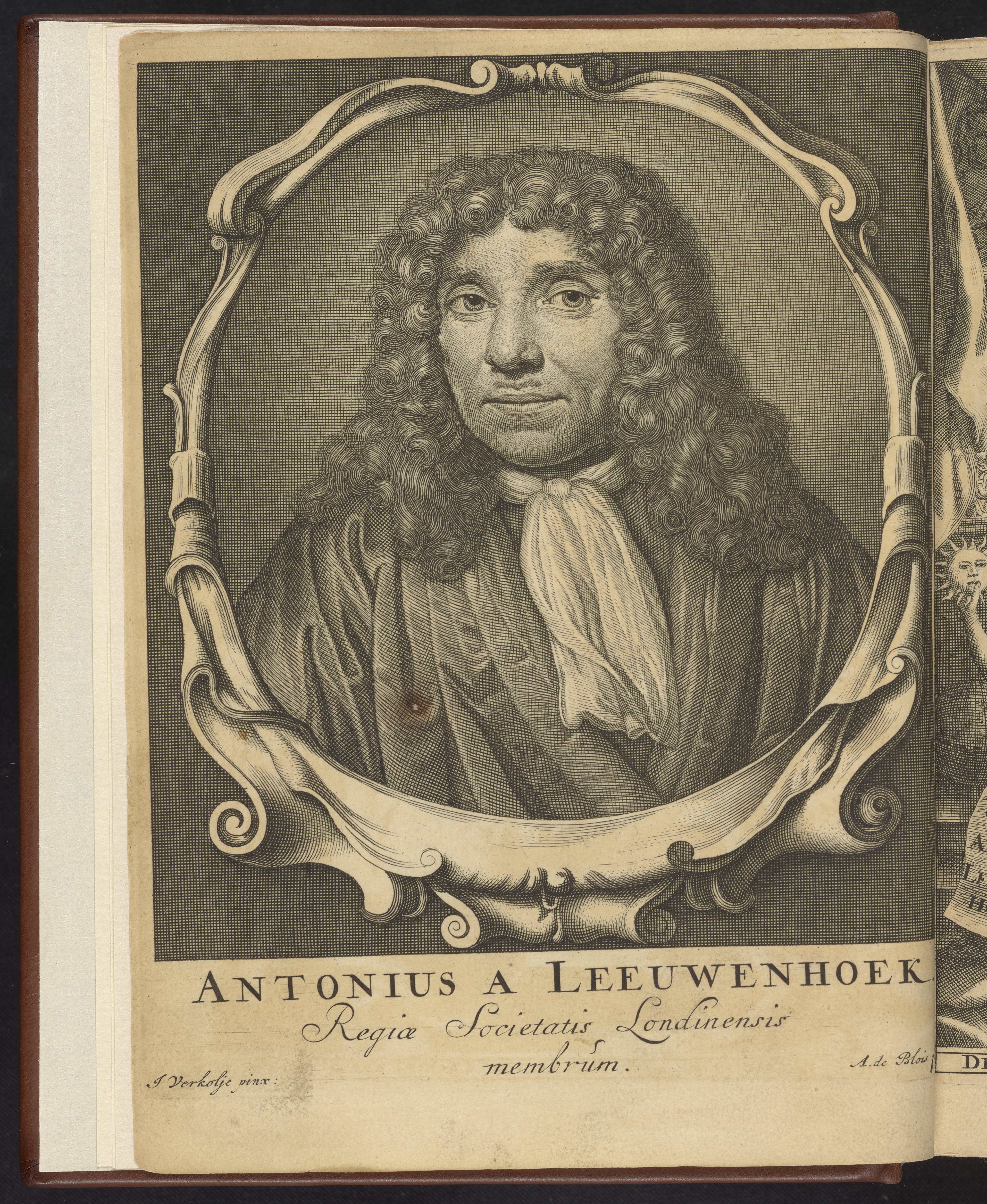 leeuwenhoek